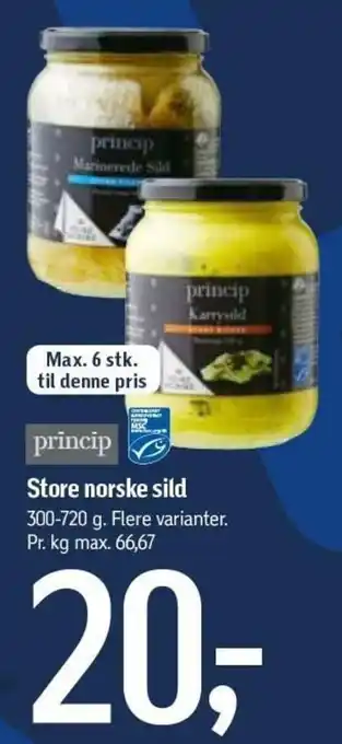 Store Norske Sild 300-720g