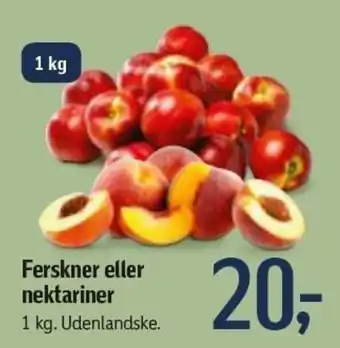 Ferskener Eller Nektariner 1kg