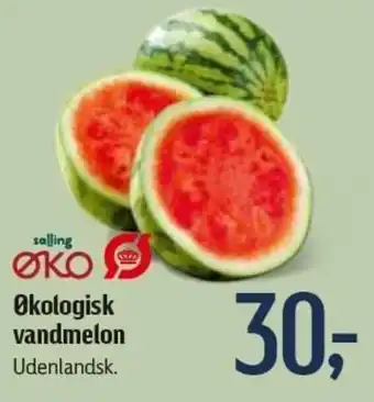 Føtex Økoligisk Vandmelon tilbud