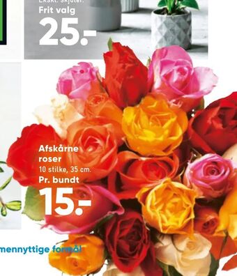 Bilka Afskårne roser tilbud