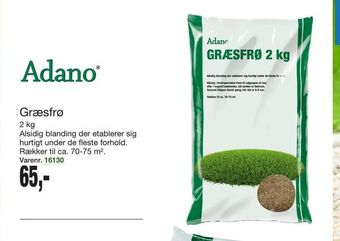 Harald Nyborg Græsfrø tilbud