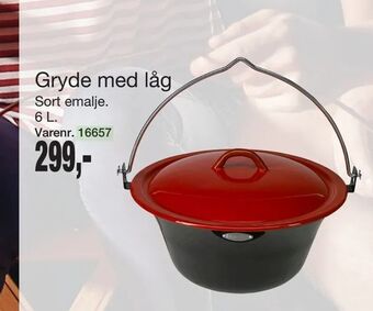 Harald Nyborg Gryde med låg tilbud