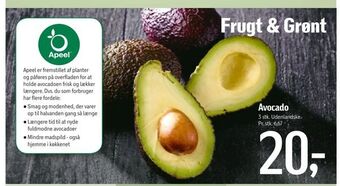 Føtex Avocado tilbud