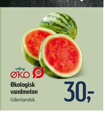 Føtex Økologisk vandmelon tilbud