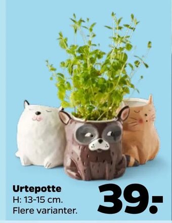 Netto Urtepotte tilbud