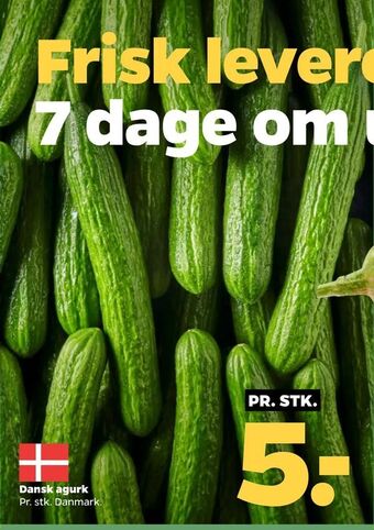 Netto Dansk agurk tilbud