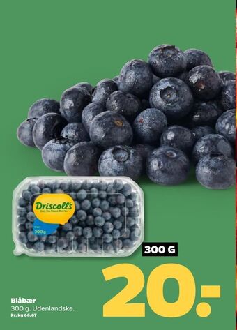Netto Blåbær tilbud