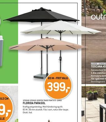 Florida parasol