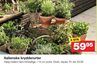 Bauhaus Italienske krydderurter tilbud