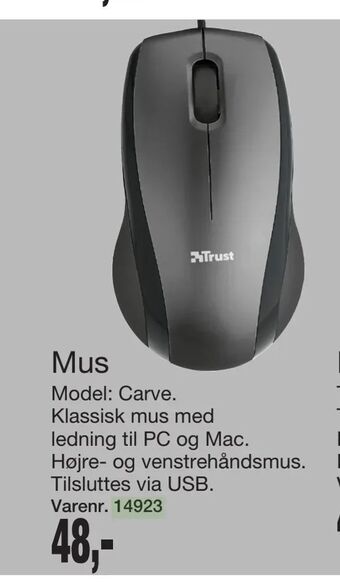 Mus