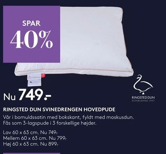 SengeSpecialisten Ringsted dun svinedrengen hovedpude tilbud