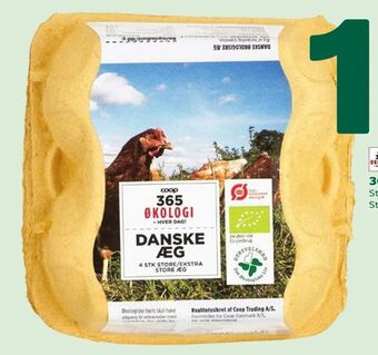 Coop 365 365 økologiske æg tilbud