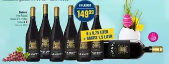 Canoro