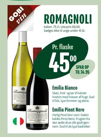 Romagnoli