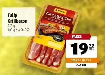 Scandinavian Park Tulip Grillbacon tilbud