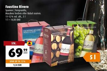 Scandinavian Park Faustino Rivero tilbud