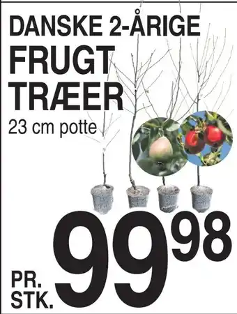 ABC Lavpris Danske 2-årige frugt træer tilbud