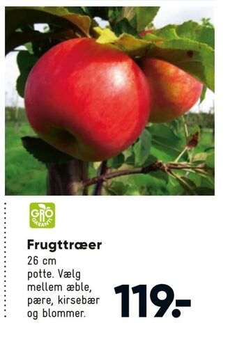 Bilka Frugttræer tilbud