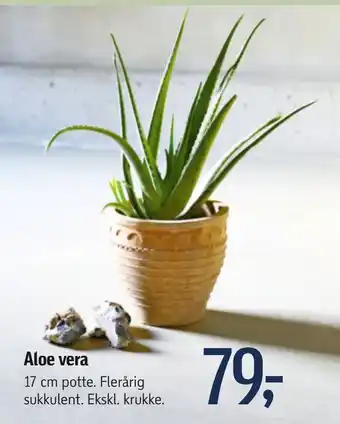 Føtex Aloe vera tilbud