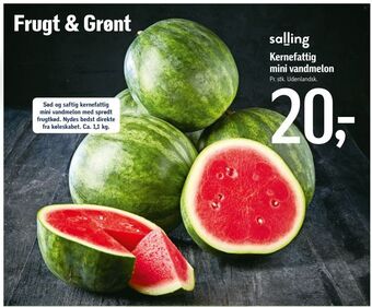 Føtex Kernefattig mini vandmelon tilbud