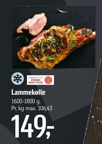 Føtex Lammekølle tilbud