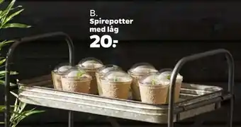 Netto Spirepotter med låg tilbud