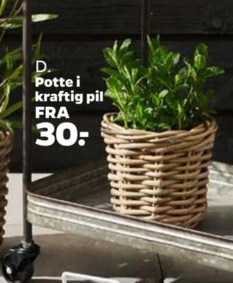 Netto Potte i kraftig pil tilbud