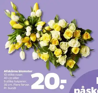 Netto Afskårne blomster tilbud
