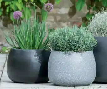 REMA 1000 Krukker af glasfiber Sort eller grå tilbud