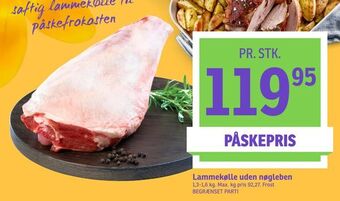 Lammekølle uden nøgleben