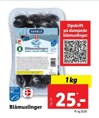 Blåmuslinger