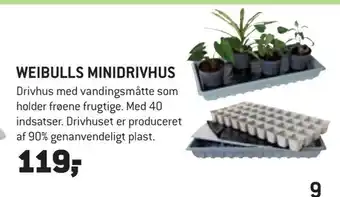 Weibulls minidrivhus
