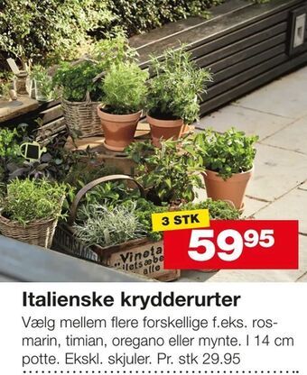 Bauhaus Italienske krydderurter tilbud