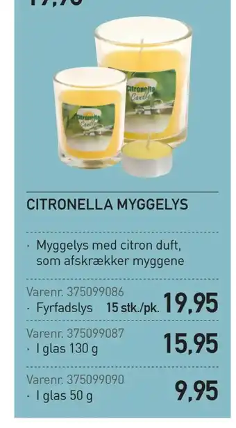 Citronella myggelys