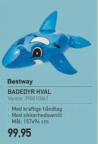Thansen Badedyr hval tilbud