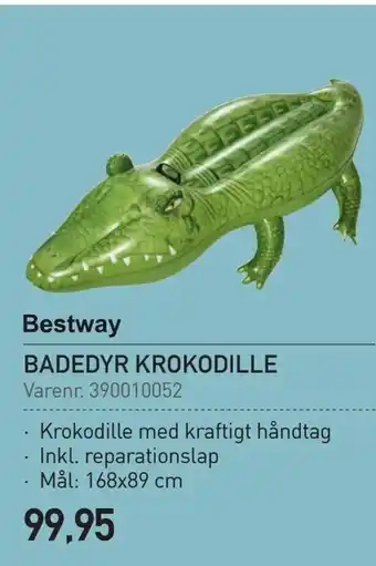 Badedyr krokodille