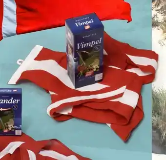 Vimpel, dannebrog