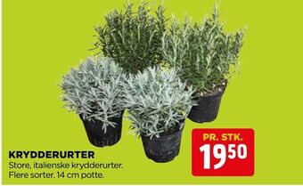 jem & fix Krydderurter tilbud