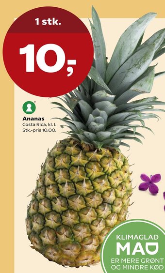 SuperBrugsen Ananas tilbud