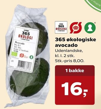 SuperBrugsen 365 Økologiske Avocado tilbud