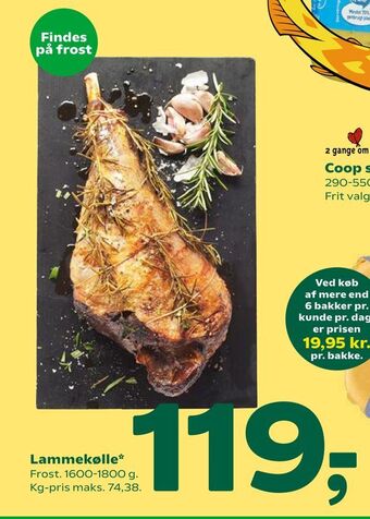 Coop 365 Lammekølle tilbud