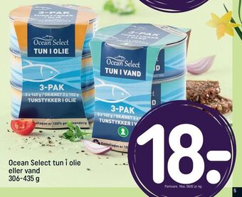 REMA 1000 Ocean Select tun i olie eller vand tilbud