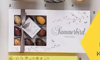 Salling SUMMERBIRD Æske med 18 æg tilbud