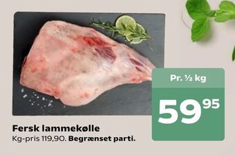 Kvickly Fersk lammekølle tilbud