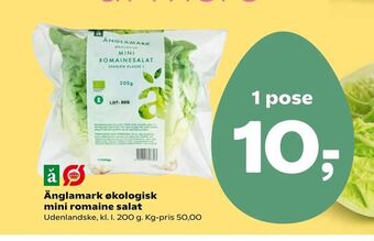 Änglamark økologisk mini romaine salat