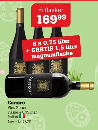Canoro