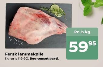 SuperBrugsen Fersk lammekølle tilbud