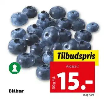 Let-Køb Blåbær tilbud