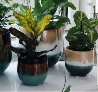 Let-Køb Grøn mini plante i keramik tilbud
