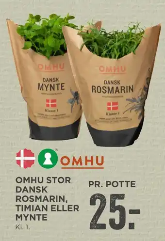 MENY Omhu stor dansk rosmarin, timian eller mynte tilbud